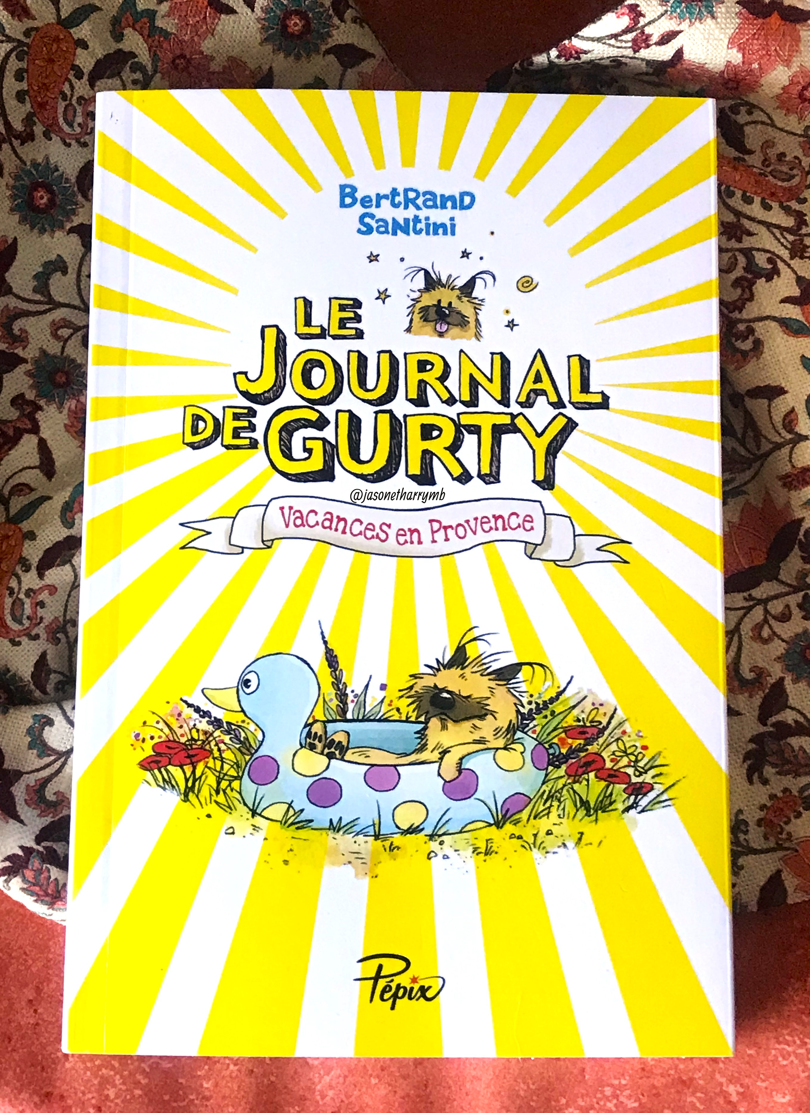 livre de jeunesse "le journal de gurty" pour les 9-12 ans